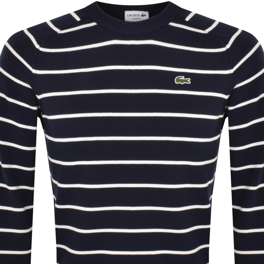 Mens lacoste navy jumper shop
